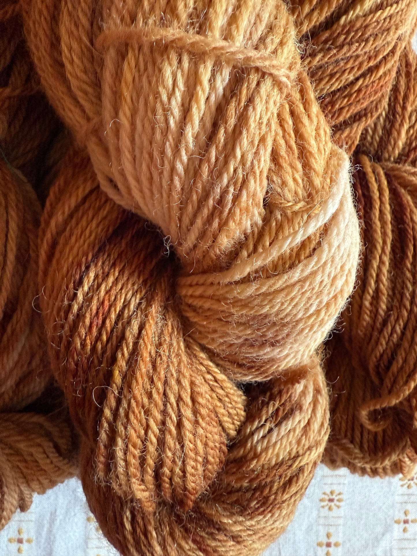 Cinnamon Roll – DK British Kent Romney Wool